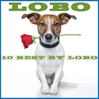 10 Best By Lobo - Lobo