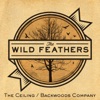 The Wild Feathers