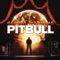 Party Ain't Over (feat. Usher) - Pitbull lyrics