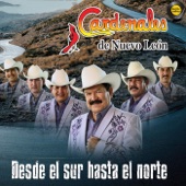 Mia - Cardenales de Nuevo León