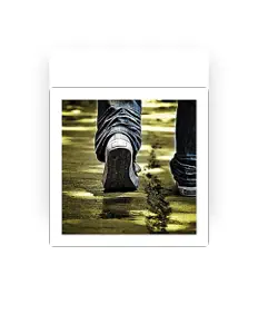 Juan Francisco Zerpa: песни, клипы, биография, даты выступлений и многое другое.