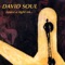Dance With Life - David Soul lyrics