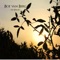 Freundin Sonne - Boe van Berg lyrics