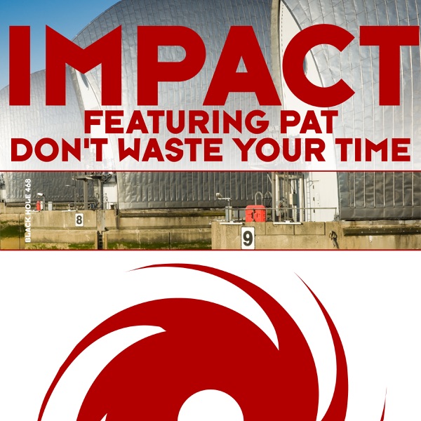 Don't Waste Your Time (feat. Pat) - Single