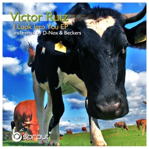 I Look Into You