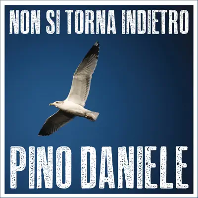 Non si torna indietro - Single - Pino Daniele