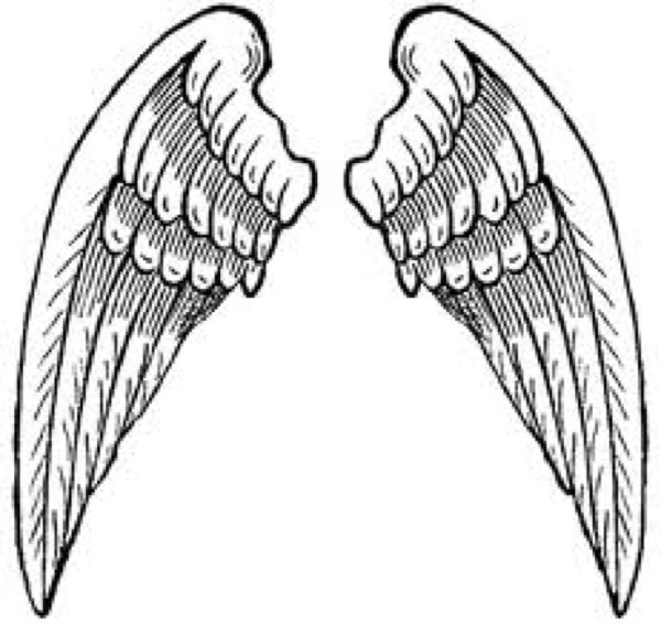 Angelwings - Podcast med danske angel investorer cover