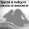 Groove of Shadows (Fred Hyas Remix) - Special & Indigo-s lyrics