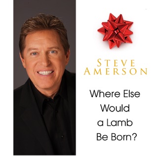 Steve Amerson Where Else Would A Lamb Be Born