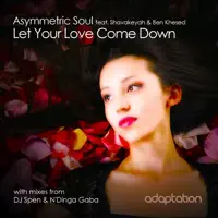 Let Your Love Come Down (Original Mix) — Asymmetric Soul