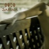 Sarina, 2014