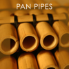 Pan Pipes - Bar de Lune Orchestra