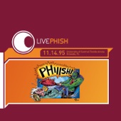 Phish - You Enjoy Myself