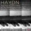 Fortepianotrio Florestan - Piano Trio No. 39 in G Major, Hob. XV/25 "Gypsy Rondo": II. Poco adagio - cantabile