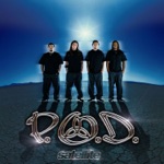 Youth of the Nation by P.O.D.