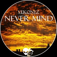 Never Mind - Single - Vekonyz