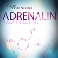 Adrenalin (feat. Seaside Clubbers) - SheCha