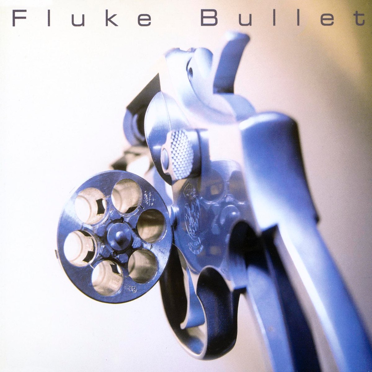 Fluke bullet