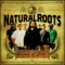 Trod On - Natural Roots lyrics