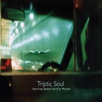 Triptic Soul