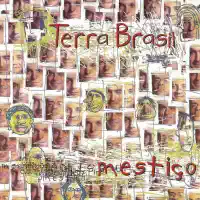 Sete Vidas — Terra Brasil
