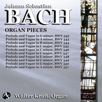 J.S.BACH: ORGAN PIECES, BWV 542-551