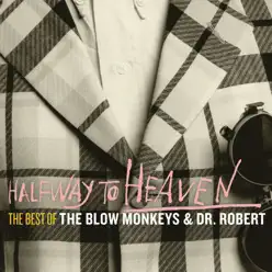 Halfway to Heaven: The Best of the Blow Monkeys & Dr Robert - The Blow Monkeys