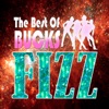 Bucks Fizz  - The Best Of Bucks Fizz, 2008