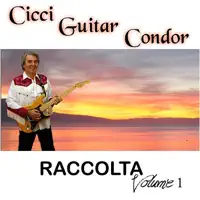 Che stress — Cicci Guitar Condor