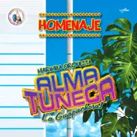 Mix Orlando Menendez Lechuga — Alma Tuneca