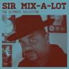 Baby Got Back - Sir Mix-A-Lot