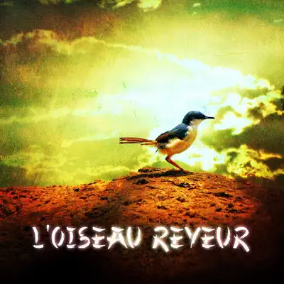 Listen to Zen & Relaxation: L'oiseau rêveur by Zen & Relaxation