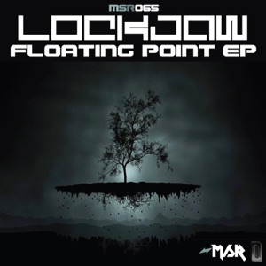 Floating Point  - EP