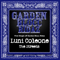 The Streets - Single - Luni Coleone