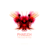 Should Be True - Phaeleh