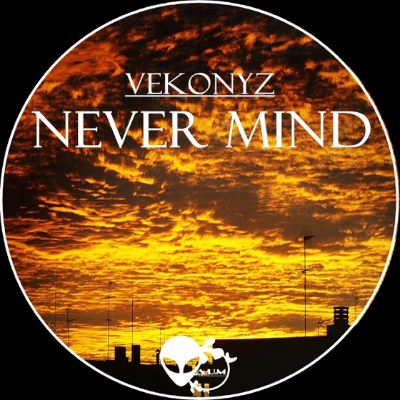 Cover artwork for Euphoria (Vekonyz Remix)