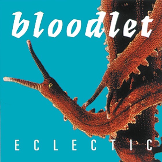 Cover artwork for Shell