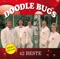 Hokus Pokus - Doodle Bugs lyrics