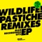 Paragon (EQ Why Remix) [feat. Daniel Haaksman] - Wildlife lyrics