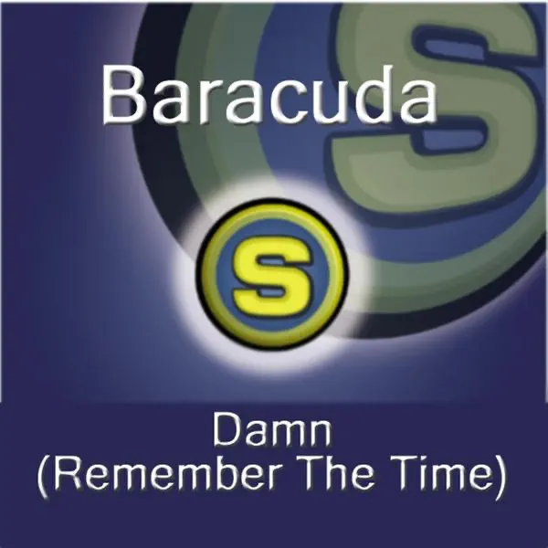 Damn! (Remember the Time) [2,4 Promille Mix Short] — Baracuda