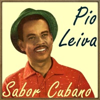 Bajo un Palmar