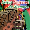 Éxitos Gaiteros de Siempre