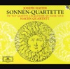 Haydn: Sonnen-Quartette, Op. 20 artwork