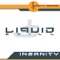 Insanity (Mainfield V.s Klubbstylerz Radio Mix) - Liquid Spill lyrics