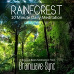 Rainforest - 10 Minute Daily Meditation - Single