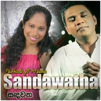 Sandawatha (feat. Iraj) - Single - Peshala & Meena