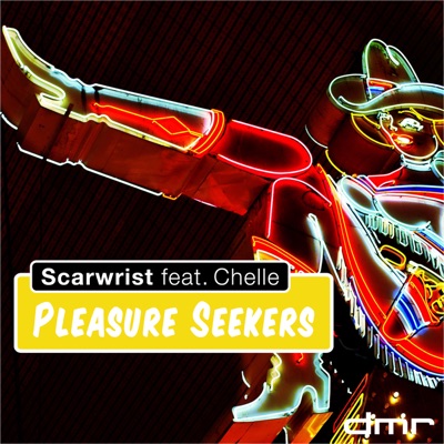 Pleasure Seekers - Single