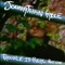 My Mother's Son - Johnathan Rice lyrics