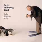 David Bromberg & The David Bromberg Band - The Strongest Man Alive / Maydelle's Reel / Jenny's Chickens