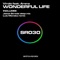 Wonderful Life (Original Mix) - Virolo lyrics